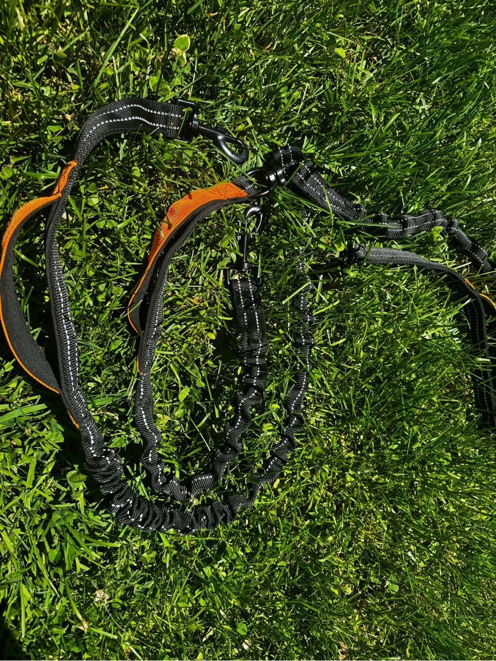 Black & Orange Reflective Bungee Dog Leash 3 dogs